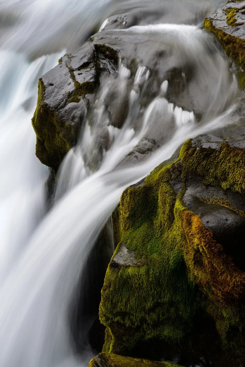 Interspace photo 1